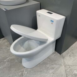 Bồn cầu 1 khối Viglacera V808 nắp êm (+ vòi xịt VG826 & van VG853)