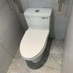 Bồn cầu 1 khối Viglacera V811 nắp êm (+ vòi xịt VG826)