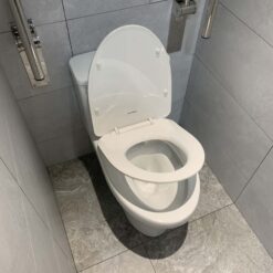 Bồn cầu 1 khối Viglacera V811 nắp êm (+ vòi xịt VG826)