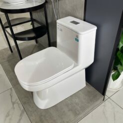 Bồn cầu 1 khối Viglacera V816 nắp êm (+ vòi xịt VG826 & van VG853)