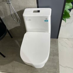 Bồn cầu 1 khối Viglacera V816 nắp êm (+ vòi xịt VG826 & van VG853)