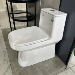 Bồn cầu 1 khối Viglacera V816 nắp êm (+ vòi xịt VG826 & van VG853)