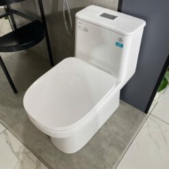 Bồn cầu 1 khối Viglacera V816 nắp êm (+ vòi xịt VG826 & van VG853)