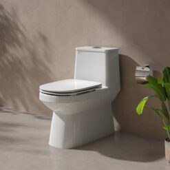 Bồn cầu 1 khối Viglacera V816 nắp êm (+ vòi xịt VG826 & van VG853)