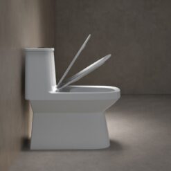 Bồn cầu 1 khối Viglacera V816 nắp êm (+ vòi xịt VG826 & van VG853)