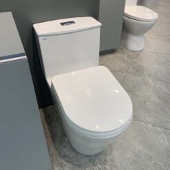 Bồn cầu 1 khối Viglacera V817 nắp êm (+ vòi xịt VG826 & van VG853)