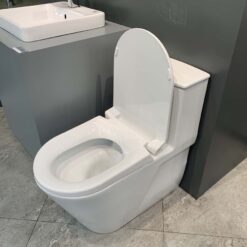 Bồn cầu 1 khối Viglacera V817 nắp êm (+ vòi xịt VG826 & van VG853)