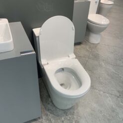 Bồn cầu 1 khối Viglacera V817 nắp êm (+ vòi xịt VG826 & van VG853)