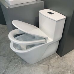 Bồn cầu 1 khối Viglacera V817 nắp êm (+ vòi xịt VG826 & van VG853)