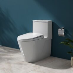 Bồn cầu 1 khối Viglacera V817 nắp êm (+ vòi xịt VG826 & van VG853)