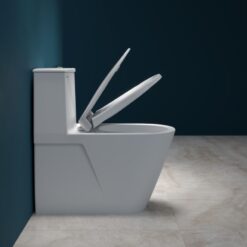 Bồn cầu 1 khối Viglacera V817 nắp êm (+ vòi xịt VG826 & van VG853)