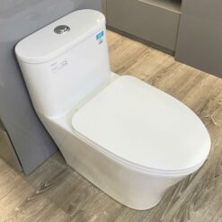 Bồn cầu 1 khối Viglacera V829 nắp êm (+ vòi xịt VG826)