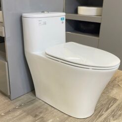 Bồn cầu 1 khối Viglacera V829 nắp êm (+ vòi xịt VG826)