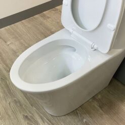 Bồn cầu 1 khối Viglacera V829 nắp êm (+ vòi xịt VG826)