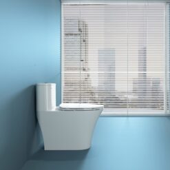 Bồn cầu 1 khối Viglacera V829 nắp êm (+ vòi xịt VG826)