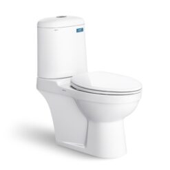 Bồn cầu 2 khối Viglacera VI107 nắp êm