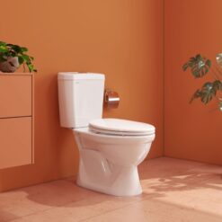 Bồn cầu 2 khối Viglacera VI28 nắp thường (+ lavabo VTL2)