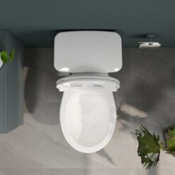 Bồn cầu 2 khối Viglacera VI44 nắp thường (+ lavabo VTL2)