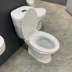 Bồn cầu 2 khối Viglacera VI66 nắp thường / nắp êm 12 Bồn cầu 2 khối Viglacera VI66 nắp thường / nắp êm