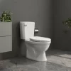 Bồn cầu 2 khối Viglacera VI77 nắp thường (+ lavabo VTL2)