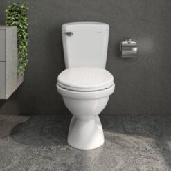 Bồn cầu 2 khối Viglacera VI77 nắp thường (+ lavabo VTL2)