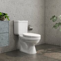 Bồn cầu 2 khối Viglacera VT18M nắp thường / nắp êm