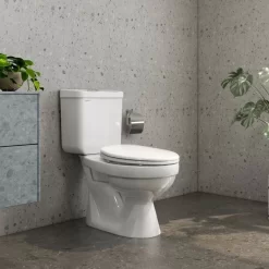 Bồn cầu 2 khối Viglacera VT18M nắp thường / nắp êm