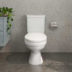 Bồn cầu 2 khối Viglacera VT18M nắp thường / nắp êm