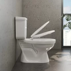 Bồn cầu 2 khối Viglacera VT18M nắp thường / nắp êm
