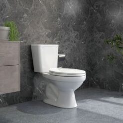 Bồn cầu 2 khối Viglacera VT34 nắp thường / nắp êm