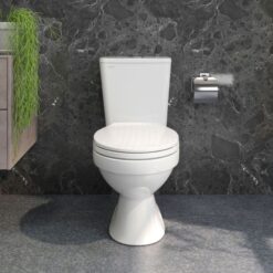 Bồn cầu 2 khối Viglacera VT34 nắp thường / nắp êm