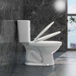 Bồn cầu 2 khối Viglacera VT34 nắp thường / nắp êm