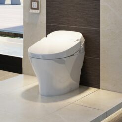 Bồn cầu thông minh 1 khối Viglacera V91