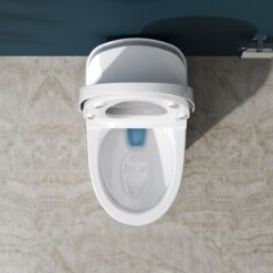 Bồn cầu thông minh 1 khối Viglacera V91