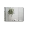 Gương soi chữ nhật 80x60cm mài lá hẹ GLS S00R61 2 Gương soi chữ nhật 80x60cm mài lá hẹ GLS S00R61