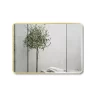 Gương soi chữ nhật khung viền nhôm 80x60cm GLS 1 Gương soi chữ nhật khung viền nhôm 80x60cm GLS