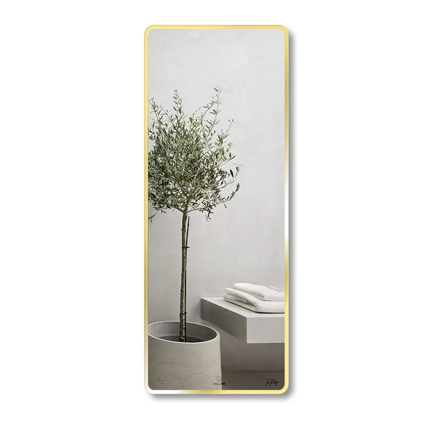 Gương soi toàn thân khung viền nhôm 60x160cm GLS - SKU F11R70 Gương soi toàn thân khung viền nhôm 60x160cm GLS
