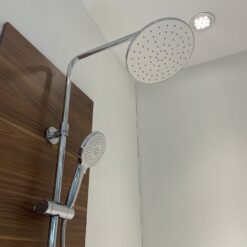 Sen cây tắm đứng Caesar BS126