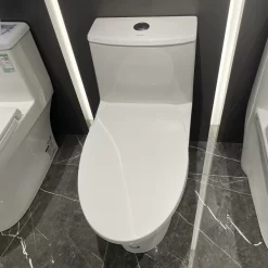 Bồn cầu 1 khối nắp rửa cơ JOMOO 11213-2-1/31Z-I011
