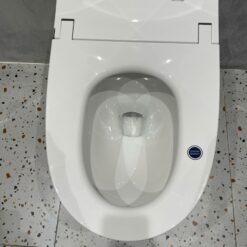 Bồn cầu bán thông minh JOMOO ZQ5340-SA-CJM305