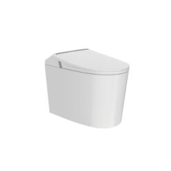 Bồn cầu bán thông minh JOMOO ZQ5340-SA-CJM305