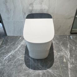 Bồn cầu thông minh JOMOO ZD8920-SA-CJM305
