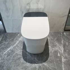 Bồn cầu thông minh JOMOO ZD8920-SA-CJM305