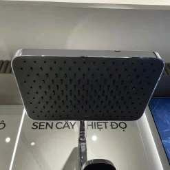 Sen cây tắm đứng ổn nhiệt có tẩy cặn JOMOO 36603-724